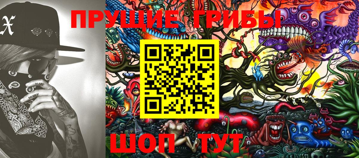 Псилоцибиновые грибы MAGIC MUSHROOMS  Вход с VPN  Ревда 